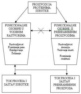 Funkcionalne osobine proizvoda sa proteinima surutke