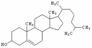 Holesterol