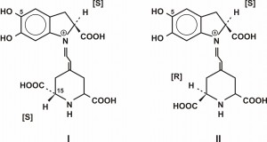 Opšta formula betacijanina (I – betanidin; II – izo-betanidin)