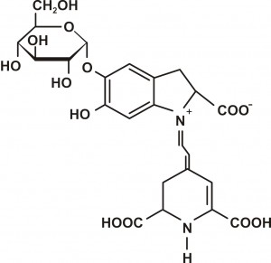 Strukturna formula betanina