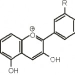 3,5,7-trihidroksi-flavilijum - jon 