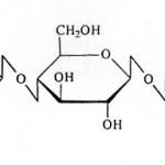 Celuloza