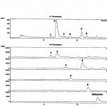 HPLC-UV hromatogram u ekstraktu kupine: 1. cijanidin-3-galaktozid; 2. cijanidin-3-glukozid; 3. cijanidin-3-arabinoza; 4. pelargonidin-3-glukozid; 5. cijanidin-3-ksiluloza; 6. malvidin-3-glukoza