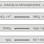 nasatajanje-azot-monoksida