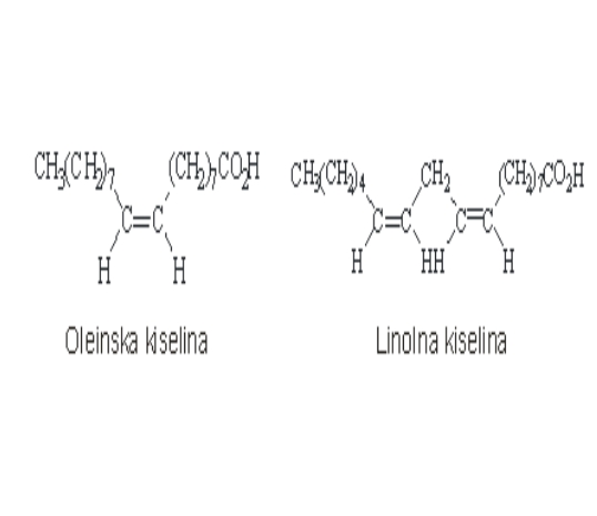 Nezasićene masne kiseline primjeri
