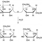 Hidroliza saharoze