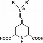 Molekul betalaina