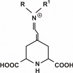 Molekul betaksantina