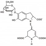 Molekul betanina