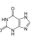 Molekularna struktura purina, ksantina i urične kiseline