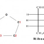 Opća formula šećera pentoza i formula riboze 