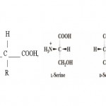 Opšta formula aminokiselina i struktura L i D serina