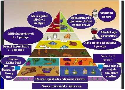 Piramida  prehrane 