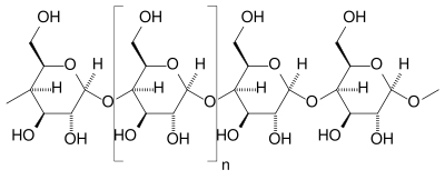 Struktura amiloze
