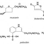 Hemijska struktura nekih otrova koje proizvode brojne vrste gljiva 