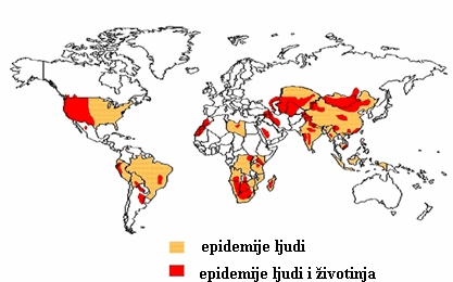 Epidemija ljudi i životinja izazvana Y. pestis u 1998. Godini