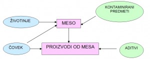 Najčešći izvori kontaminacije mesa i proizvoda od mesa