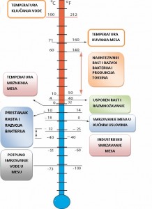 Uticaj temperature na mikroorganizme i procese koji se dešavaju u mesu