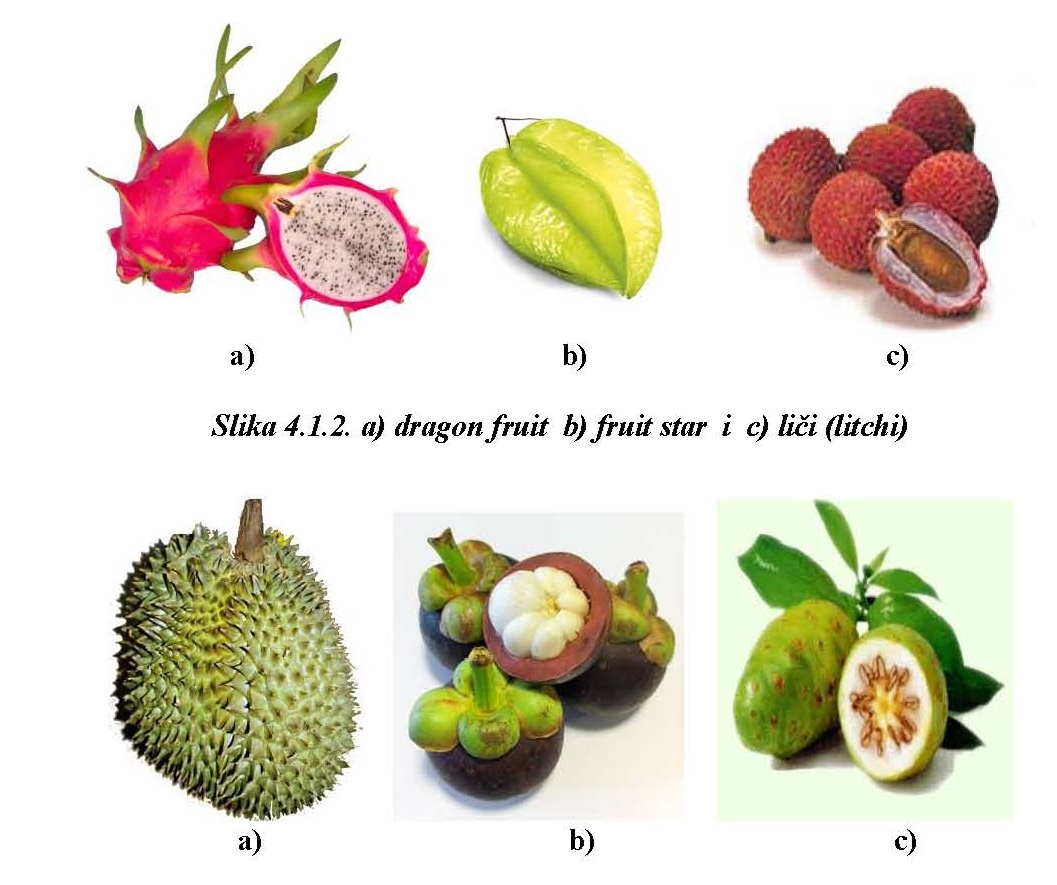Egzotično voće popis