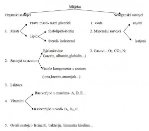 Šema 1. Sastojci mlijeka (Vajić, 1957)