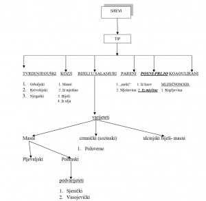 Šema 2. Klasifikacija crnogorskih sireva