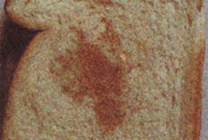 Kvar hleba izazvan delovanjem Serratia marcescens
